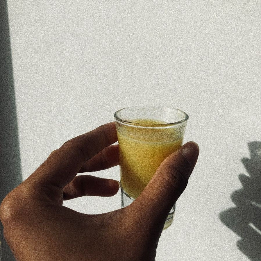 Ginger Root Extract Food Gut Health Healing Natural Medicine Prebiotic Probiotic Body Boost Weight Control Klean Online South Africa